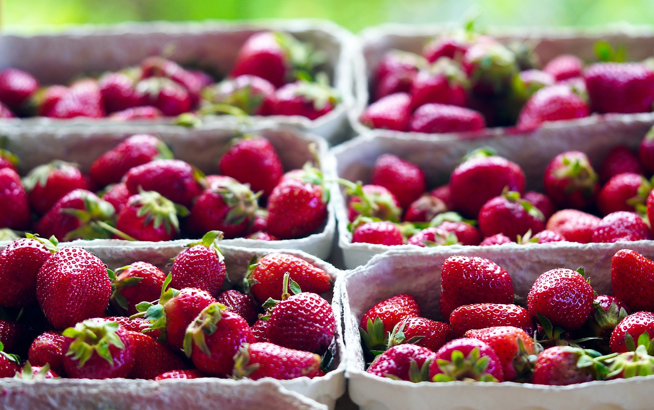 Planes analíticos para la producción y comercialización de fresas.jpg